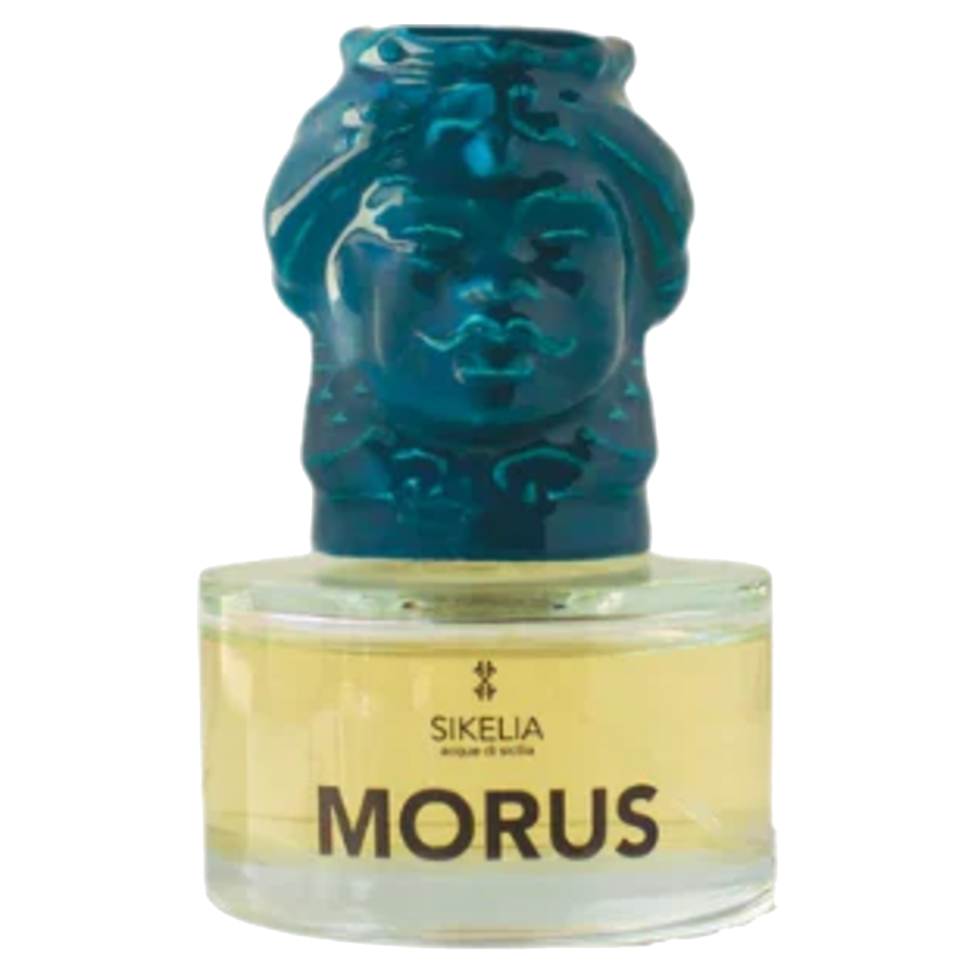 Morus by Sikelia
