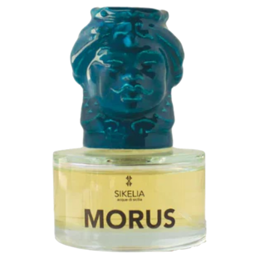 Morus by Sikelia